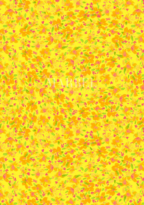 1033_Sorbet Splash_ao8cl