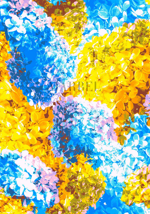 1059_Hydrangea_ao12cl