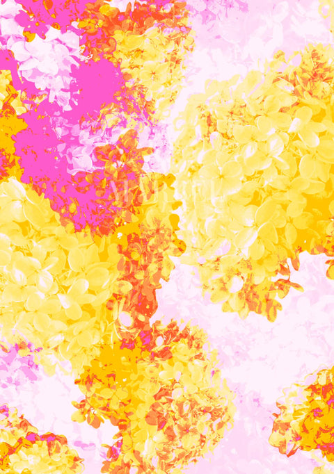 1059_Hydrangea_ao12cl